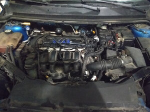 Примеры установки ГБО - Ford Focus (Изображение № 1)