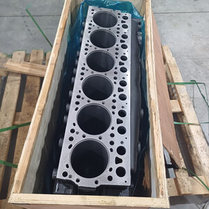 Блок цилиндров 612630900009