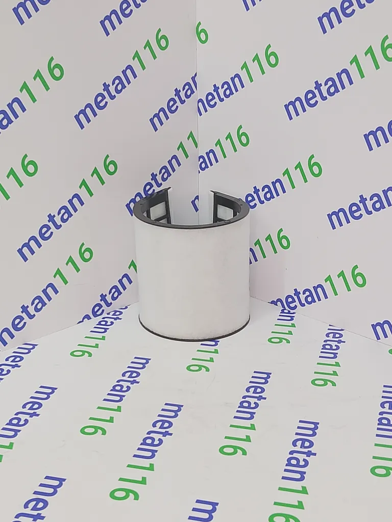 Фильтр газовый 1005480900 — изображение 3