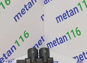 Рампа газовых форсунок 2 цилиндра 238000081 KP LOVATO, пара — изображение 3