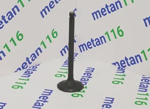 Впускной клапан J5300-1003111A — изображение 1