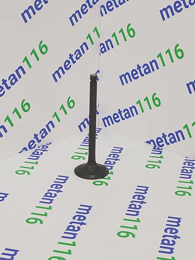 Впускной клапан J5300-1003111A — изображение 1