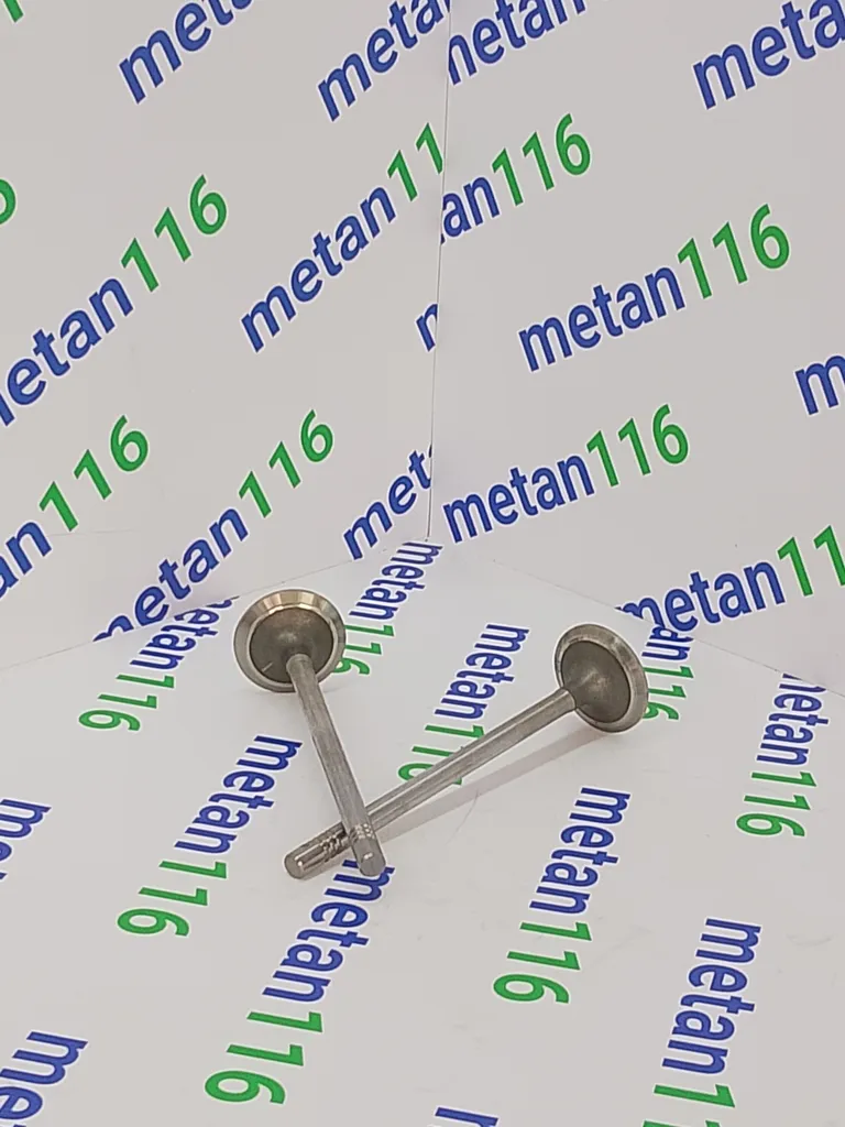 Клапан выпускной LN100-1003101B — изображение 3